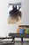 Star Wars  The Mandalorian - Battle Wall Poster with Push Pins