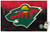 NHL Minnesota Wild - Logo 15 Wall Poster with Push Pins