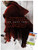 Star Wars  The Last Jedi - Red Luke Wall Poster with Push Pins