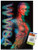 DC Comics Movie - Wonder Woman 1984 - Cheetah Graphic Wall Poster with Push Pins