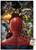 Marvel Comics - Spider-Man - VIllains Wall Poster with Push Pins