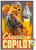 Star Wars  Solo - Chewie Wall Poster with Push Pins
