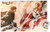 Attack on Titan - Wind Wall Poster with Push Pins