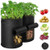 Falliny Potato Grow Bags 2 Pack 10 Gallon  Aeration Fabric Window Vegetable Grow Bags with Durable Handles  Nonwoven Grow Bags Fabric Pots for Vegetables-Flower-Plants Planting