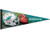 WinCraft NFL 65570013 Miami Dolphins Premium Pennant  12  X 30