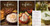 Wind   Willow Dip Variety Pack  Roasted Red Pepper  Cheesy Bacon and Dill Pickle