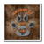 3dRose ht220762 Havanese Dog Love Dog Breed in Gray and Brown Iron on Heat Transfer for White Material  6 by 6-Inch
