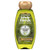Garnier Whole Blends Shampoo Olive Oil 12-5 Ounce 370ml 2 Pack