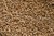Gambrinus Honey Malt 5 Lb by