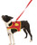 Rubie s Marvel Classic Iron Man Pet Leash and Harness  Small