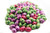 Milk Chocolate Hollow Easter Eggs - 2 LB Resealable Stand Up Candy Bag - Individually Wrapped Chocolates in Decorated Foil - Easter Egg Chocolate Candy