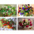 Ginfonr 4 Pack 5D Diamond Painting Basket of Flowers by Number Kits  Flower Paint with Diamonds Full Drill Embroidery Rhinestone Art Crystal DIY Decor Craft 30x40 cm 12x16 inch Ginfonr 4 Pack 5D Diamond Painting Basket of Flowers by Number Kits  Flower Paint with Diamonds Full Drill Embroidery Rhinestone Art Crystal DIY Decor Craft 30x40 cm 12x16 inch