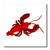 3dRose ht12963 Lobster Iron on Heat Transfer for White Material  10 by 10-Inch