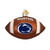Old World Christmas Glass Blown Ornament with S-Hook and Gift Box  College Football Collection Penn State
