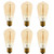 Vintage Incandescent Filament Bulb, Squirrel Cage, Edison Style, S-Type, 60W, 240 Lumens, E26 Medium Base, Dimmable (6 Pack)