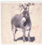 3dRose ht12363 Miniature Donkey Iron on Heat Transfer for White Material  10 by 10-Inch