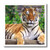 3dRose ht31323 Siberian Tiger Iron on Heat Transfer for White Material  10 by 10-Inch