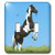 3dRose lsp_61939_2 Magnificent Brown n White Horse Double Toggle Switch Multicoloured