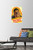 Star Wars  Saga - Chewie Wall Poster with Push Pins