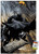 DC Comics - Batman - Lurking Wall Poster with Push Pins