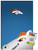 NFL Denver Broncos - S- Preston Mascot Miles 20 Wall Poster with Push Pins