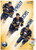 NHL Buffalo Sabres - Team 16 Wall Poster with Push Pins