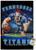 NFL Tennessee Titans - End Zone 17 Wall Poster with Push Pins