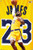 NBA Los Angeles Lakers - Lebron James 2018 Wall Poster with Push Pins