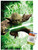 Star Wars  Saga - Yoda Wall Poster with Push Pins