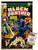 Marvel Comics - Black Panther - Cover  2 Wall Poster with Push Pins
