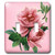 3dRose lsp234222 Classic Pink Rose Double Toggle Switch