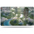 Zendikar Rising Clearwater Pathway Playmat for Magic  The Gathering