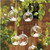 18pcs Small Ball Globe Shape Clear Transparent Hanging Glass Vase Flower Plants Terrarium Vase Container DIY Wedding Home Decoration (Clear)