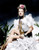 Torrid Zone Ann Sheridan 1940 Photo Print 16 x 20