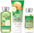Bath   Body Works Signature Collection Cucumber Melon Gift Set ~ Body Cream ~ Shower Gel   Body Lotion- Lot of 3