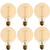 Vintage Incandescent Filament Bulb, Tungsten Vanity, Edison Style, G Type, 60W, 200 Lumens, E26 Medium Base, Dimmable (6 Pack)