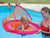 SwimWays Baby Spring Float Sun Canopy - Pink Butterfly
