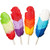 Squire Boone Feather Lollipops - 24 Count