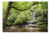 Great Smoky Mountains National Park  Tennessee - Waterfall 9001213 Premium 1000 Piece Jigsaw Puzzle for Adults  19x27