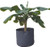 Roots Organics RORP400 400 Gallon Root Pot  70 x 24