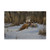 Landing Zone by Wilhelm Goebel  16x24-Inch
