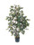 Nearly Natural 5074 Ficus Silk Tree  4-Feet  Green