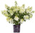 First Editions - Hydrangea pan- Strawberry Sundae Panicle Hydrangea Shrub  white-pink-red flowers   3 - Size Container