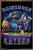 Trends International NFL Baltimore Ravens - End Zone 17 Wall Poster  22-375  x 34   Bronze Framed Version