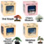 Eve's Garden Bonsai Seed Kit Special Buy 3 get 4 th for Free: Red Maple, Cherry Blossom, Japanese Juniper, and Miniature Elm. Complete Kits to Grow Bonsai from Seed. Special Price of 3 for 4 Kits