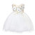 Baby Toddler Lace Dress Princess Wedding Gown Baby Flower Girl Elegant Embroidery Special Occasion Party Dress 24M Off-White