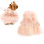 Petea Dog Dress Pink Flower Tutu Gauze Skirt Vest Apparel Puppy Costumes Cute Princess Dress Birthday Pet Clothes for Dogs and Cats -S-