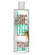 LubeLife Water Based Mint Chocolate Chip Flavored Lubricant  8 Ounce Sex Lube for Men  Women and Couples -Mint Chocolate Chip-
