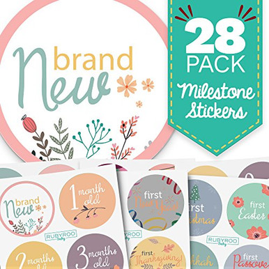 Baby Month & Milestone Stickers - 28 Pack - Baby Girl Onesie Belly ...