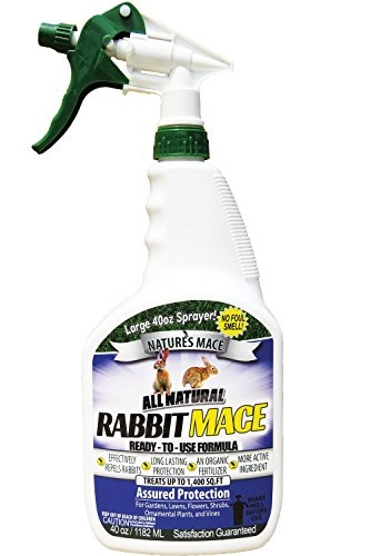Natures Mace Rabbit Mace 40oz SprayCovers 1400 Sq_ Ft_ Rabbit Repellent ...
